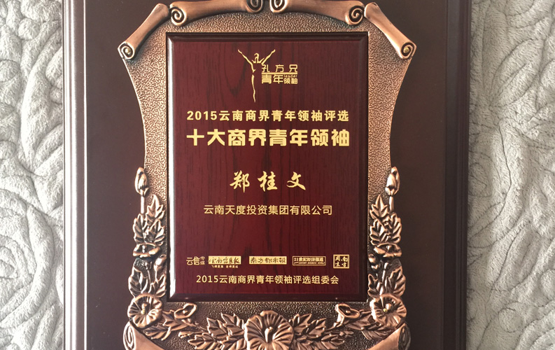 在&ldquo;互联网大时代&rdquo;的背景下，天度作为本土很大和很有名的互联网服务企业，为近万家传统企业转型互联网+提供了服务和帮助，获此奖项后，我们将再接再厉，创造更高的社会价值